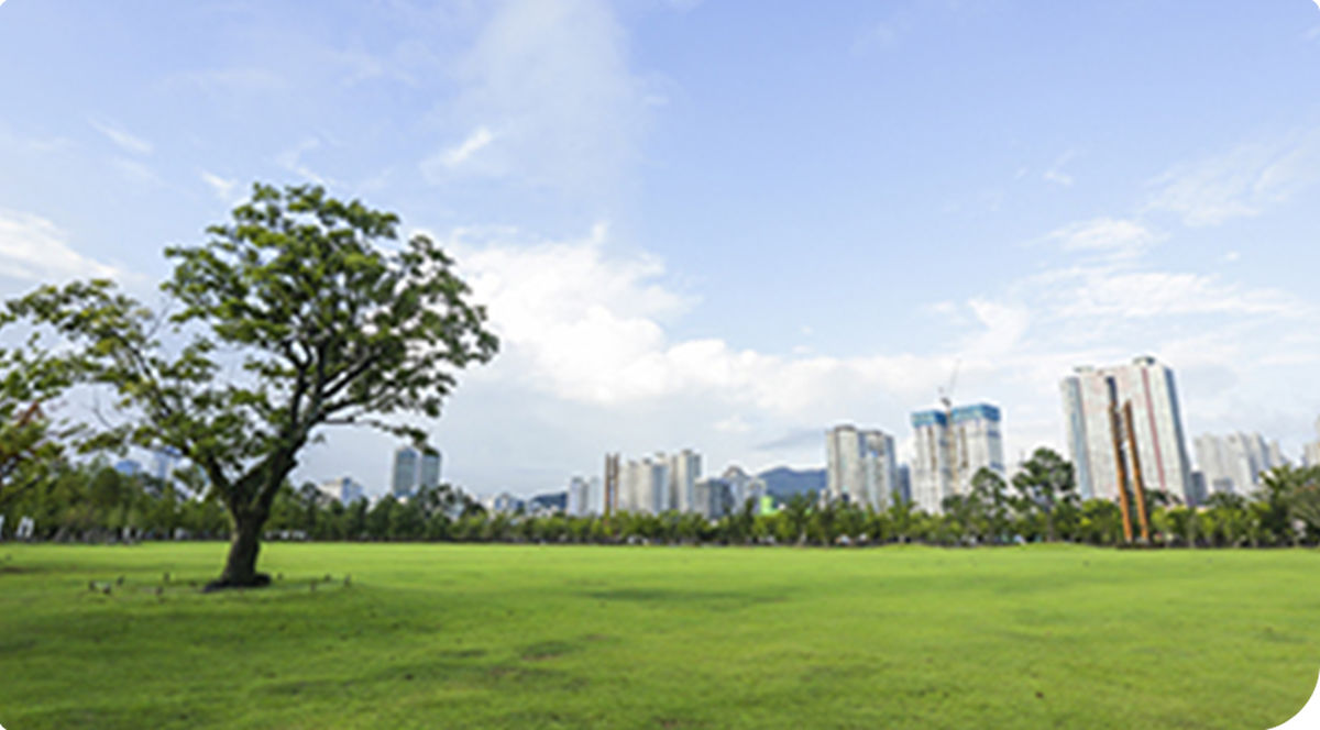 Busan Citizens Park